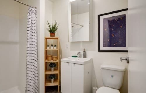 A modern bathroom at Union Apartments features a white shower curtain, wooden shelf with plants, white vanity with sink, mirror cabinet, framed artwork on the wall, and a white toilet.