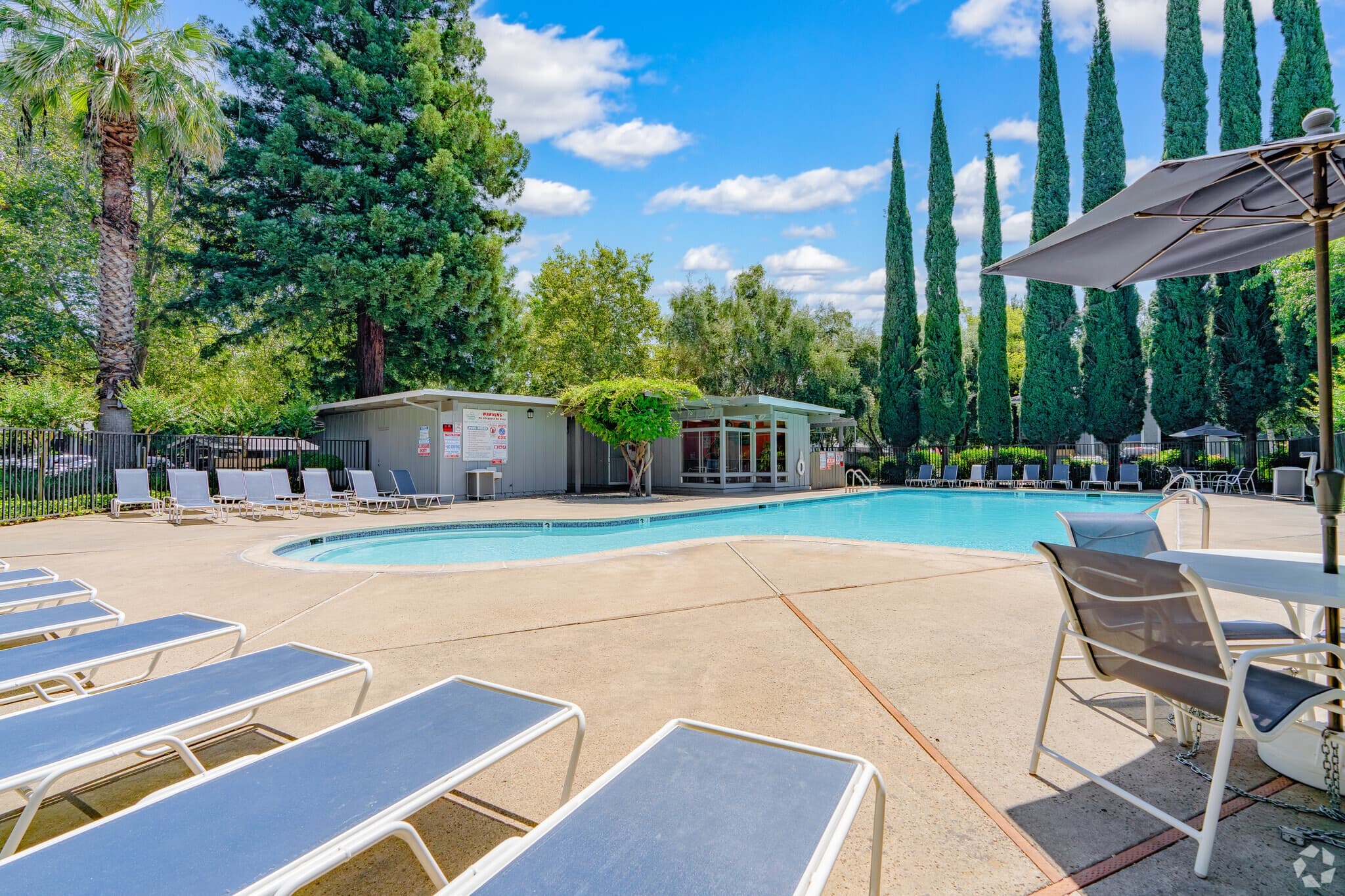 Outdoor swimming pool area at Westpark Plaza, featuring lounge chairs, umbrellas, and tables nestled among tall trees and greenery under a blue sky with scattered clouds; a small building sits in the background.