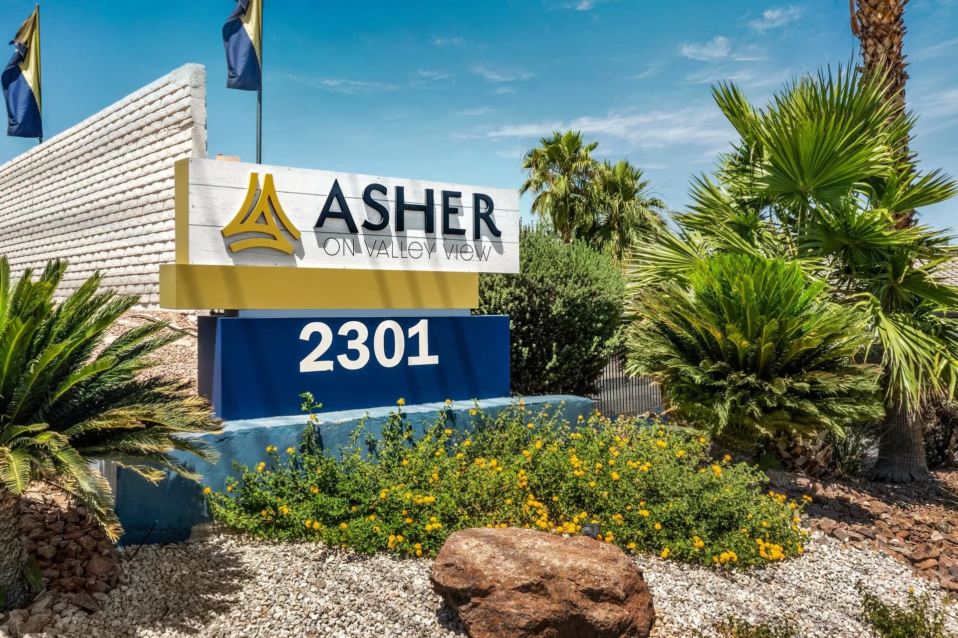 Asher on Valley View