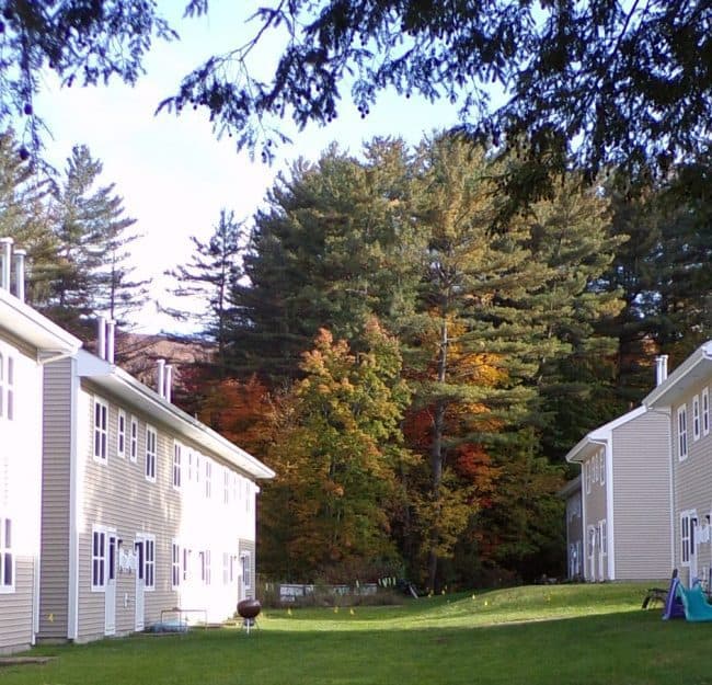 Mohawk Forest